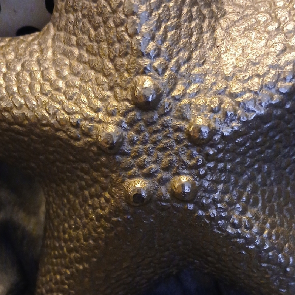 Textured Starfish Decor - Picture 3 of 8